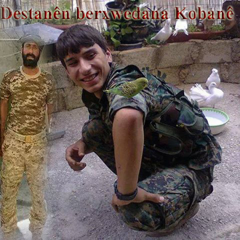 Xemgîn Efrîn û Ebu Leyl li Kobanê